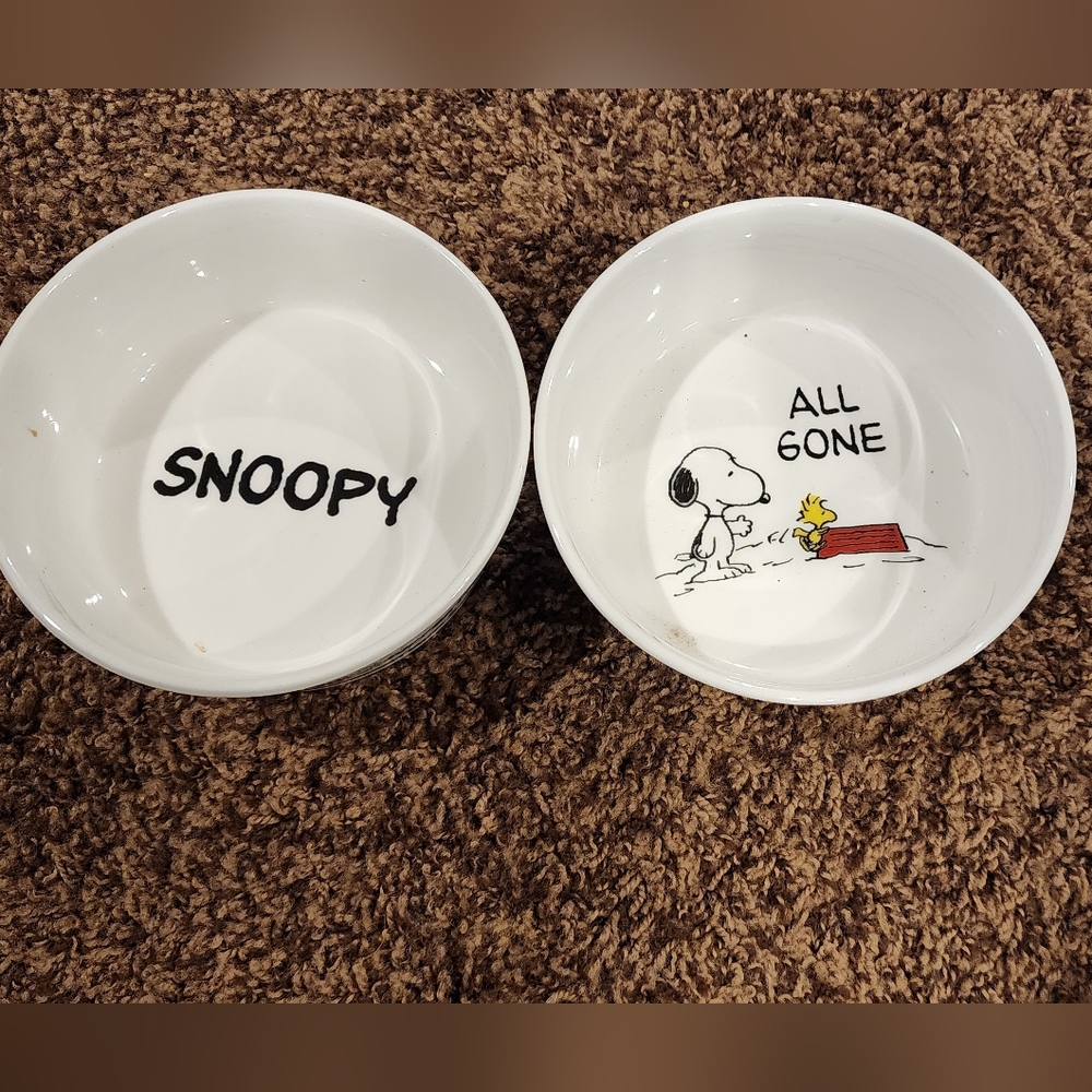 Snoopy bowls
